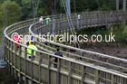 Kielder Marathon. Photo: David T. Hewitson/Sports for All Pics